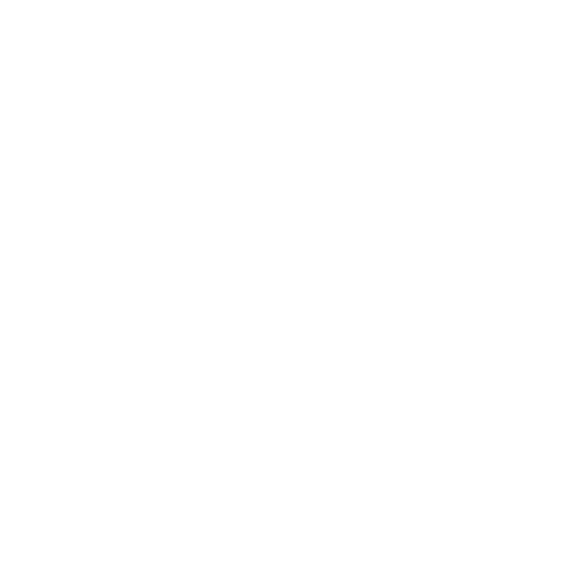ONE Championship